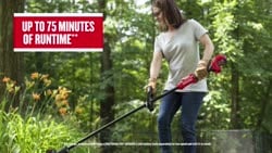 Video Taille-bordures V20* BRUSHLESS RP® (5,0 Ah)