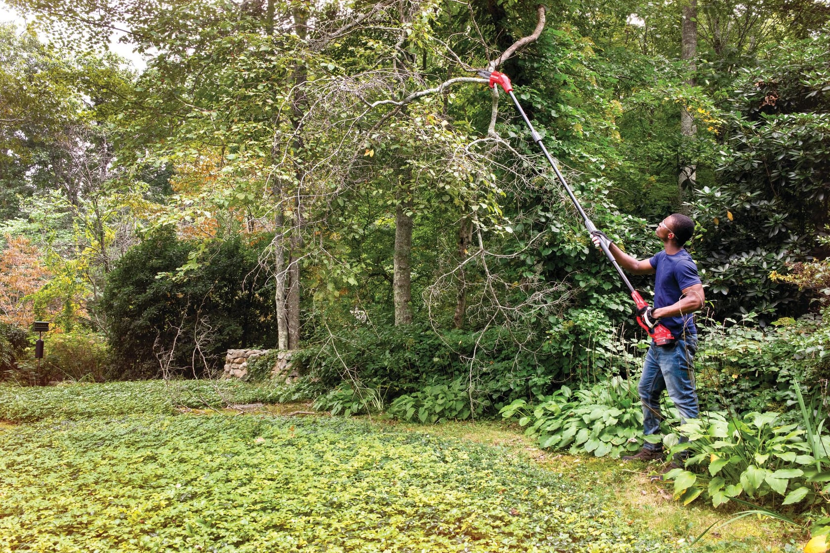 Photo of a person using a CRAFTSMAN CMCCSP20M1 pole chainsaw to cut a tree branch in a green yard.