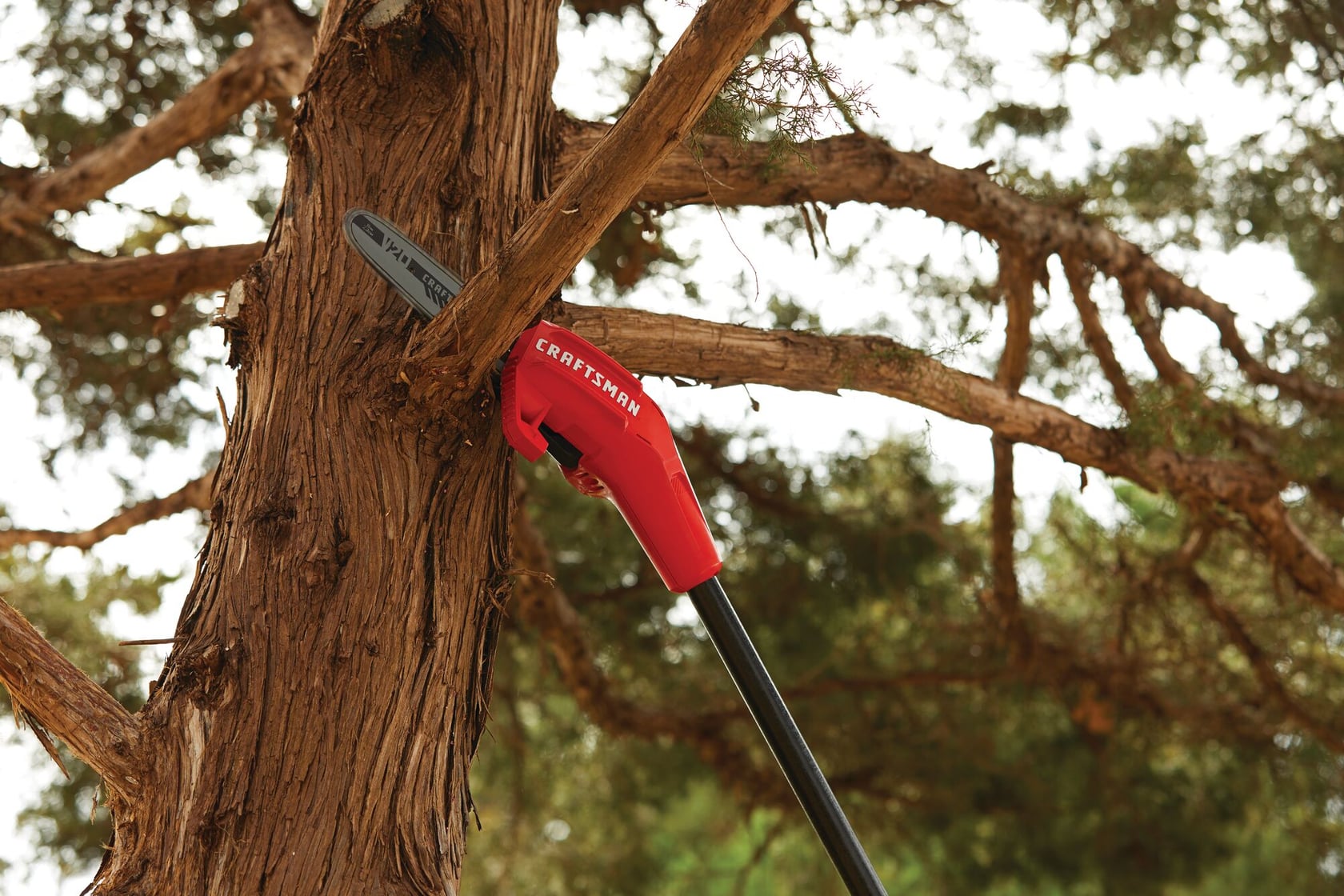 Photo of Craftsman CMCCSP20M1 pole saw cutting a tree branch outdoors, red and black tool head visible.