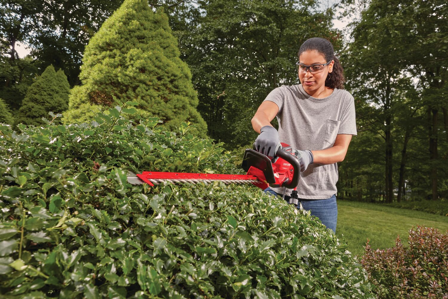 View of CRAFTSMAN Hedge Trimmers  being used by consumer