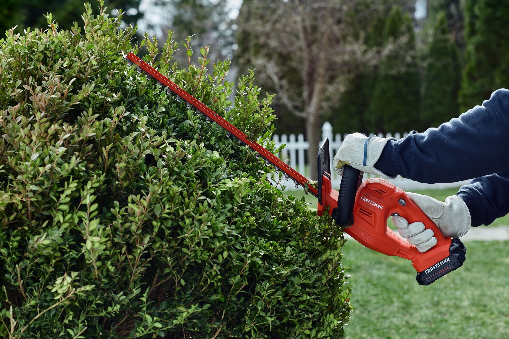 View of CRAFTSMAN Hedge Trimmers  being used by consumer